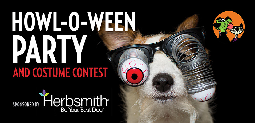 HOWL-o-ween Party & Costume Contest For Your Pet