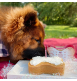 Puppy Cake LLC Puppy Cake Birthday Cake Kit | Pumpkin 9 oz
