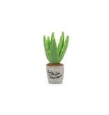 PLAY P.L.A.Y. Dog Toys Blooming Buddies Collection | Aloe-ve You Plant