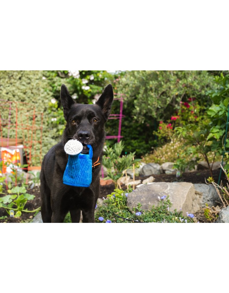 PLAY P.L.A.Y. Dog Toys Blooming Buddies Collection | Wagging Watering Can