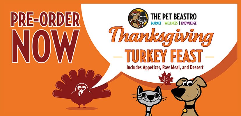 Thanksgiving Turkey Feast For Cats & Dogs!