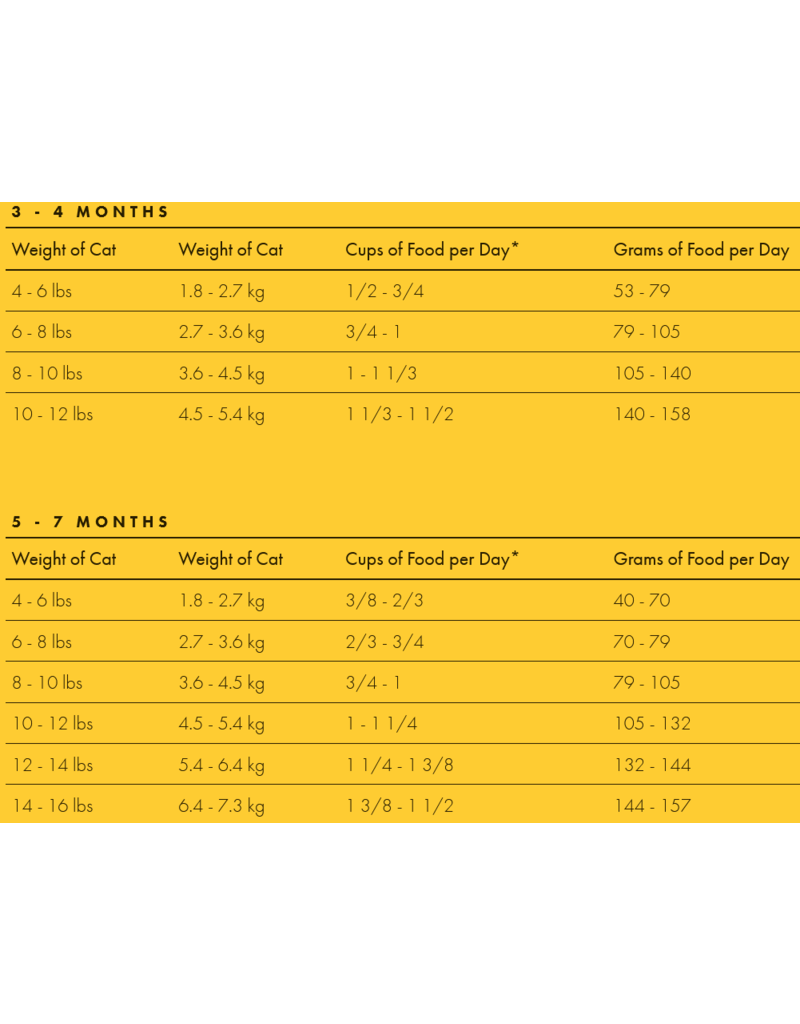 Fromm Fromm Four Star Grain Free Cat Kibble | Salmon Tunachovy 10 lb