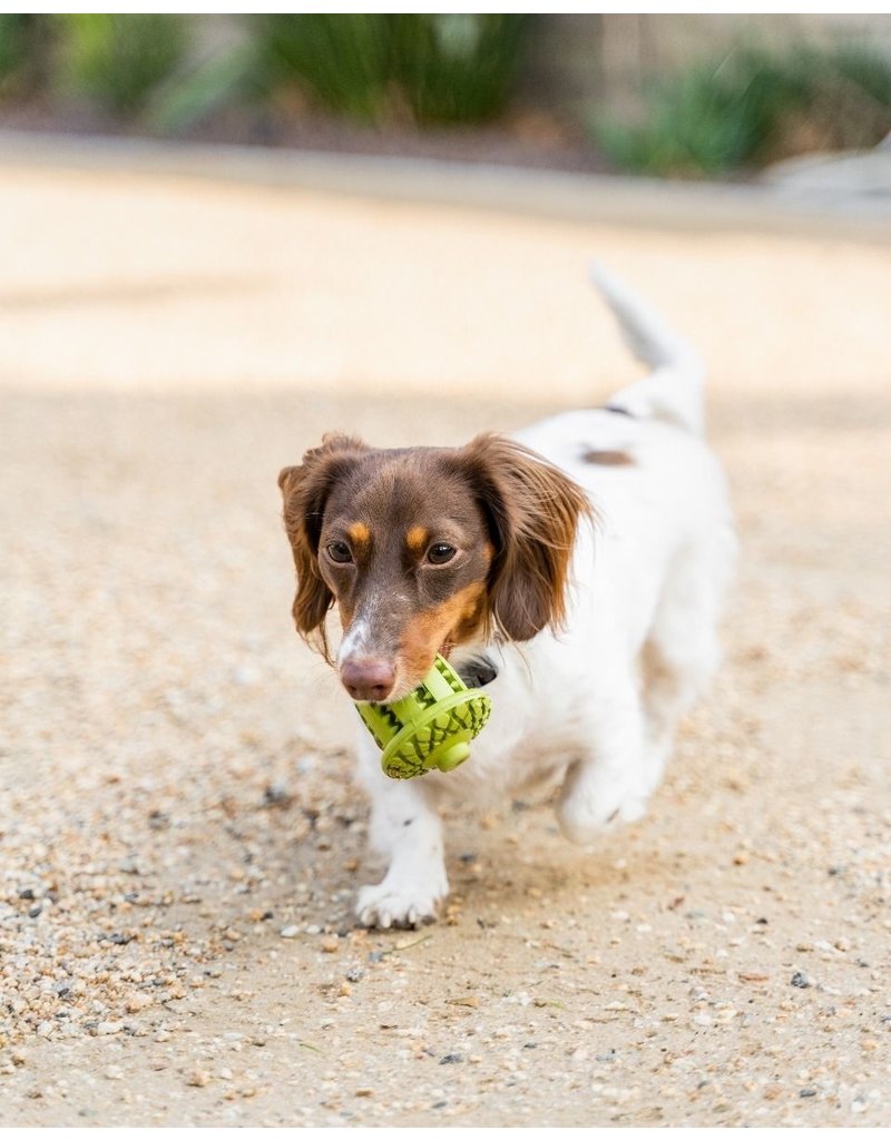 Tall Tails Dog Toys: Rubber Acorn 3 Treat & Dental Chew Toy - The Pet  Beastro