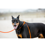 Harness Lead Harness Lead | Orange Reflective Large 40-170 lbs