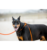 Harness Lead Harness Lead | Orange Reflective Small 14-40 lbs