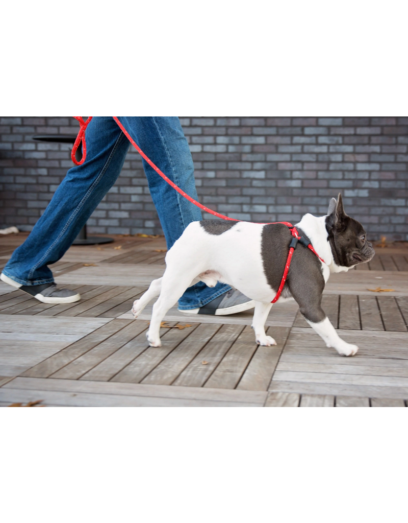 Harness Lead Harness Lead | Red Reflective Small 14-40 lbs