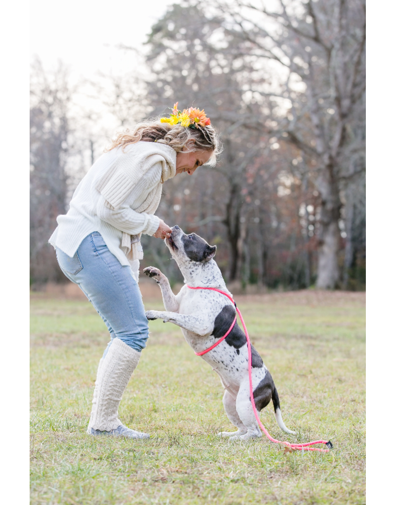 Harness Lead Harness Lead | Pink Small 14-40 lbs