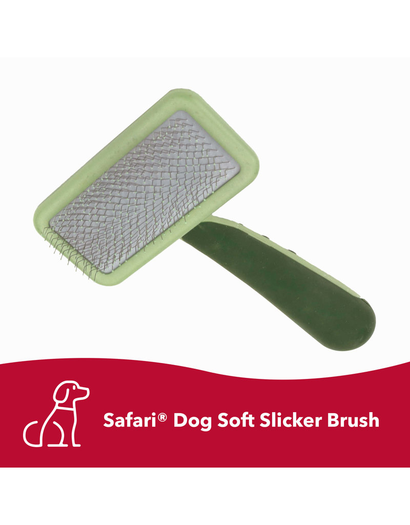 Coastal Coastal Safari Dog Soft Slicker Brush Medium