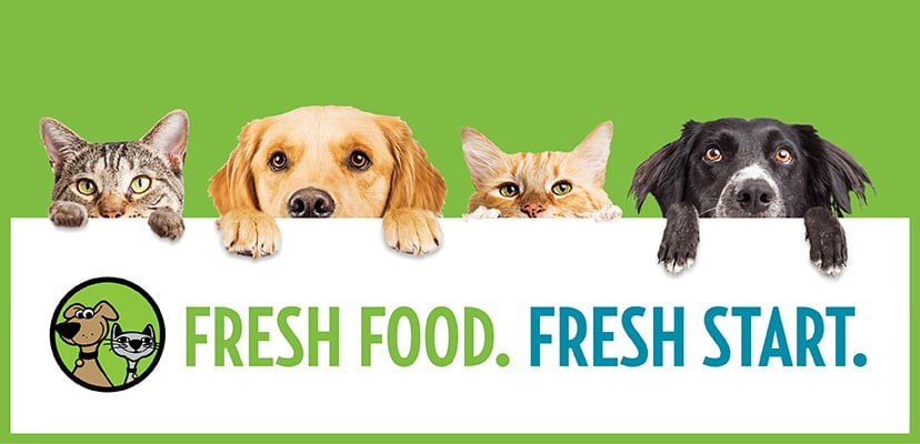 Kick-Off 2024 With Fresh Raw Pet Food