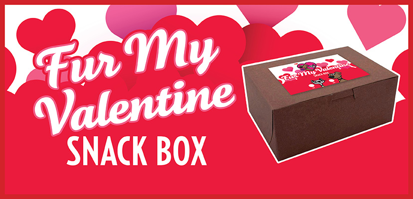 Be My Valentine Snack Box For Your Cat Or Dog