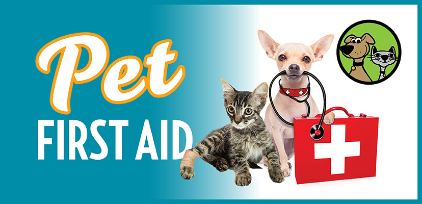 First Aid Remedies for Pets