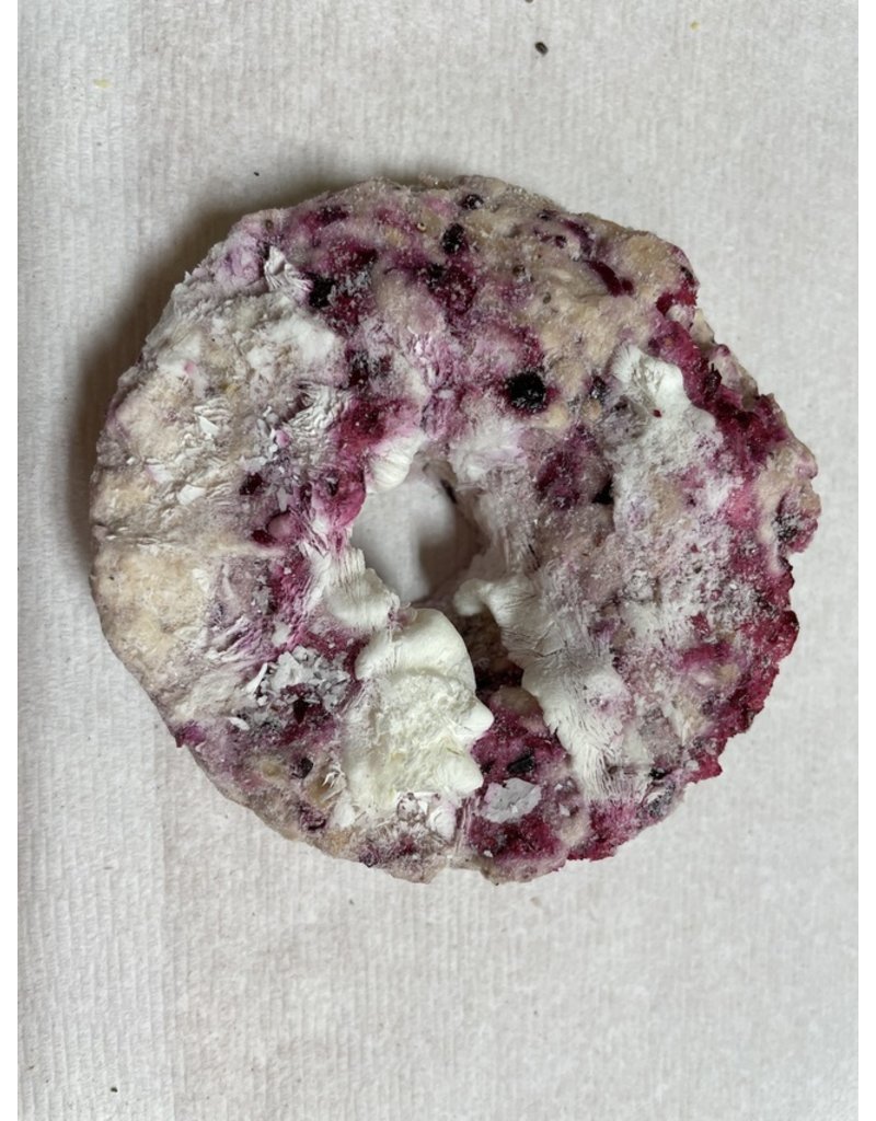 Scout & Zoe's Z Scout & Zoe's Freeze Dried Donuts | Pork Cranberry Spinach