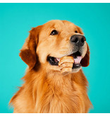 Project Hive Pet Company Project Hive Dog Treats | Hive Chew Large 8 oz