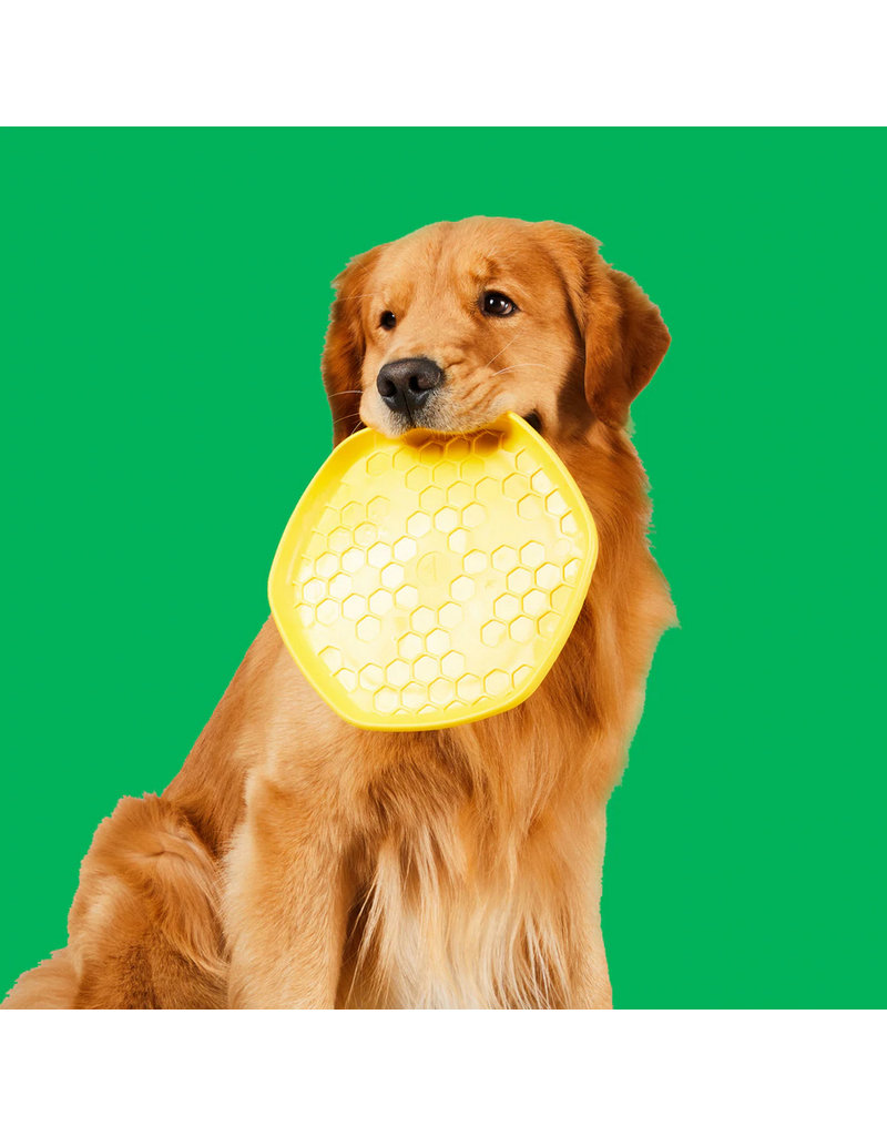 Project Hive Pet Company Project Hive Dog Toys | Hive Disc