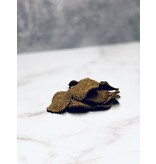 Mosaic Exotic Dog Treats Mosaic Exotic Dog Treats | Ostrich Chips w/ Butternut Squash 2.5 oz