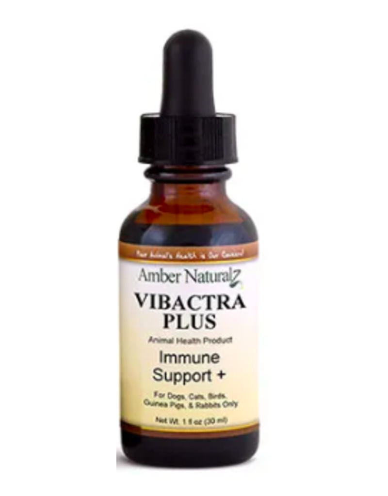 Amber Naturalz Amber Naturalz | Vibactra Plus - Immune Support 1 oz