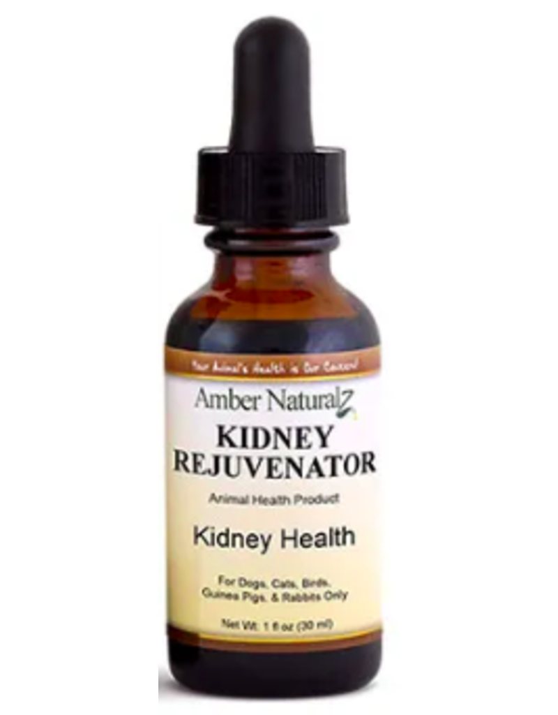 Amber Naturalz Amber Naturalz | Kidney Rejuvenator - Kidney Health 1 oz