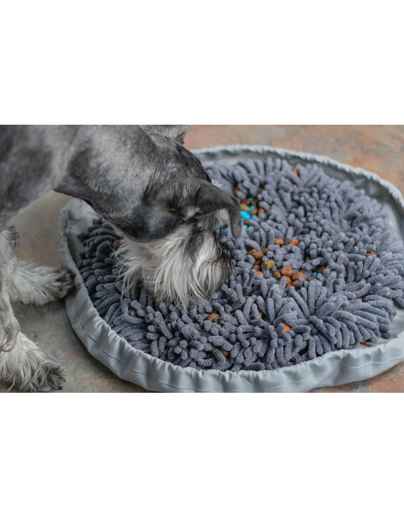 Pet Parents Forager Snuffle Mat & Slow Feeder Dog Bowl, Grey