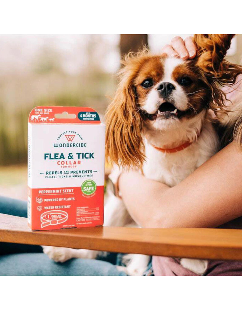 Wondercide Wondercide Flea & Tick Collar | Dog Peppermint Scent 1 pk