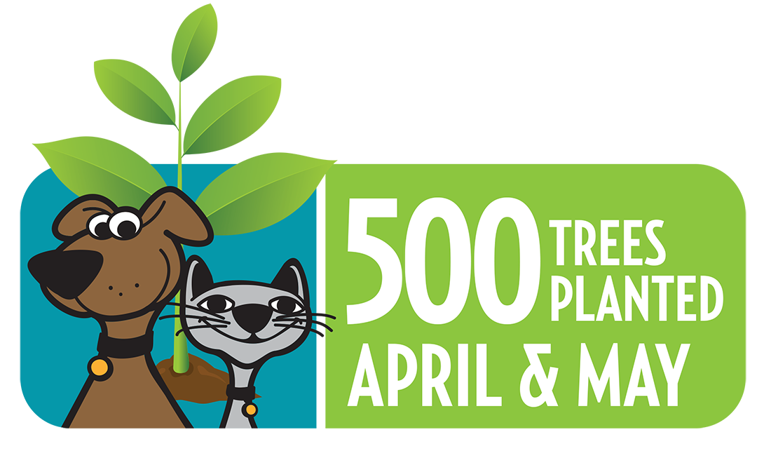 Thanks To YOU...We've Planted 500 Trees
