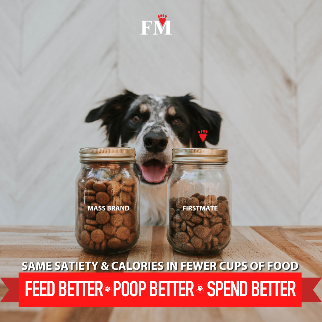 First Mate - Poop Less With Nutrient Dense Pet Food