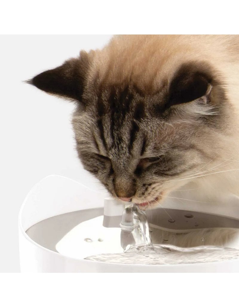 Hagen Group Catit PIXI Cat Fountian | Smart Fountain 2.0