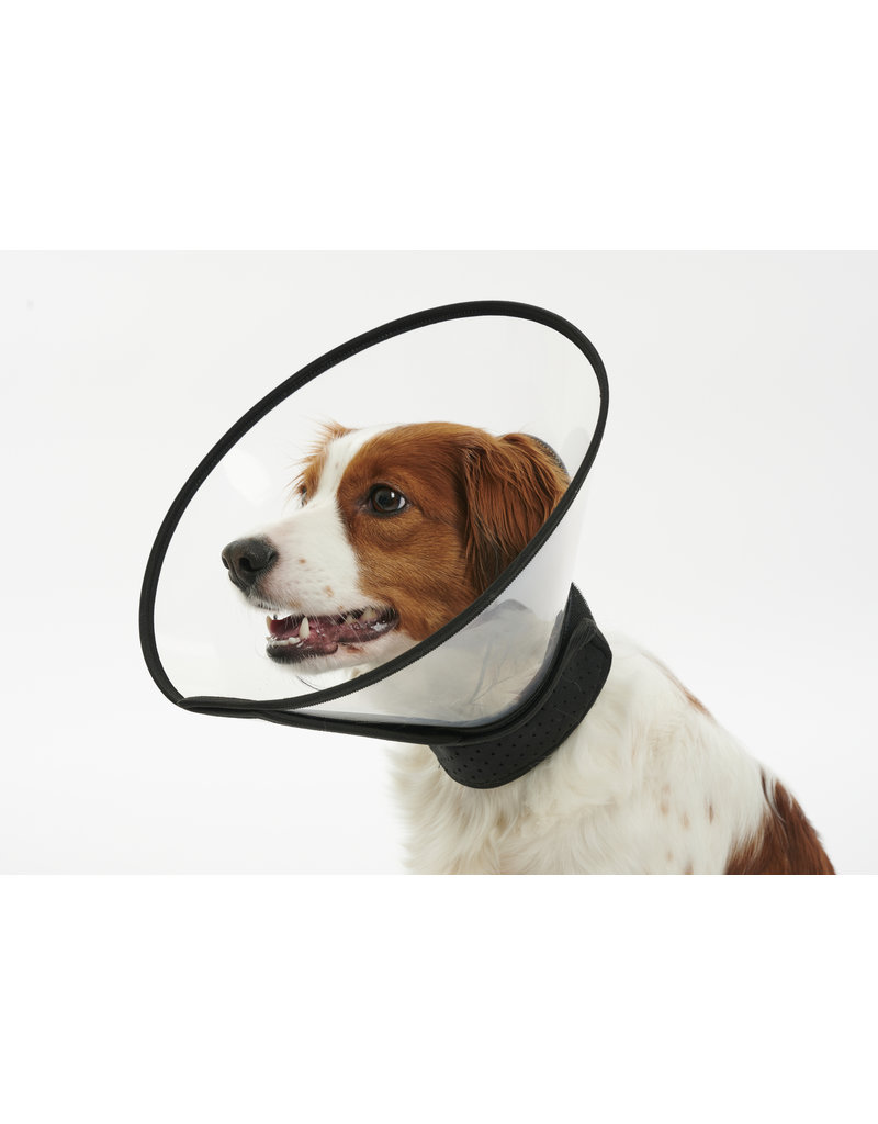 Buster Buster | Recovery Collar 12"