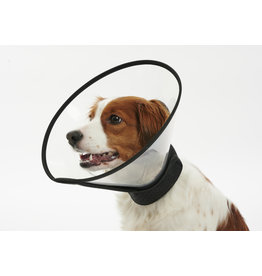 Buster Buster | Recovery Collar 6"