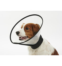 Buster Buster | Recovery Collar 10"