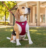 Curli Curli Air-Mesh Dog Harness | Red Large