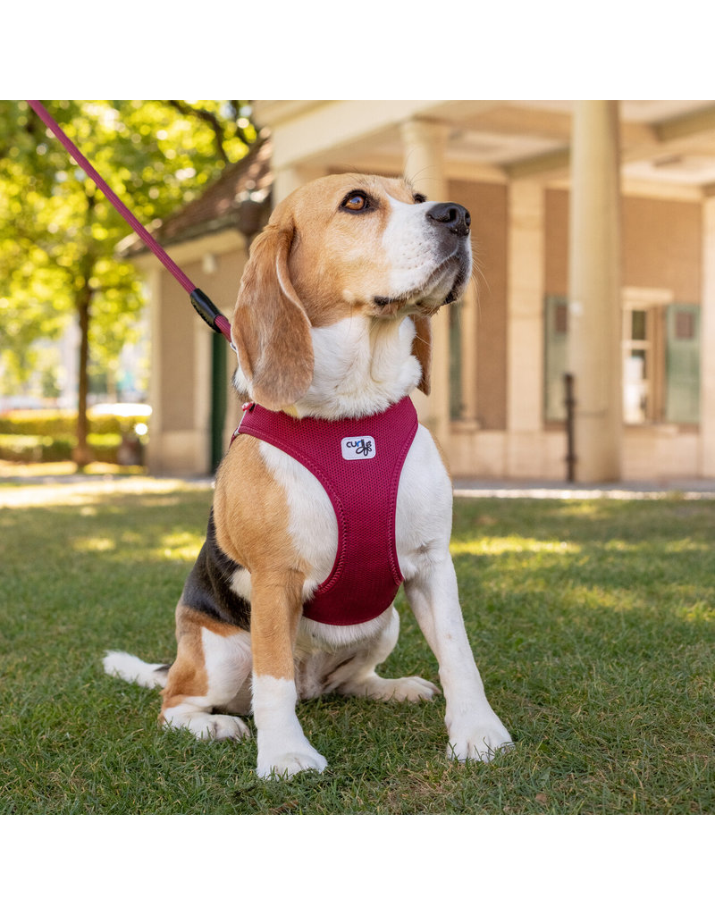Curli Curli Air-Mesh Dog Harness | Red Extra Large (XL)