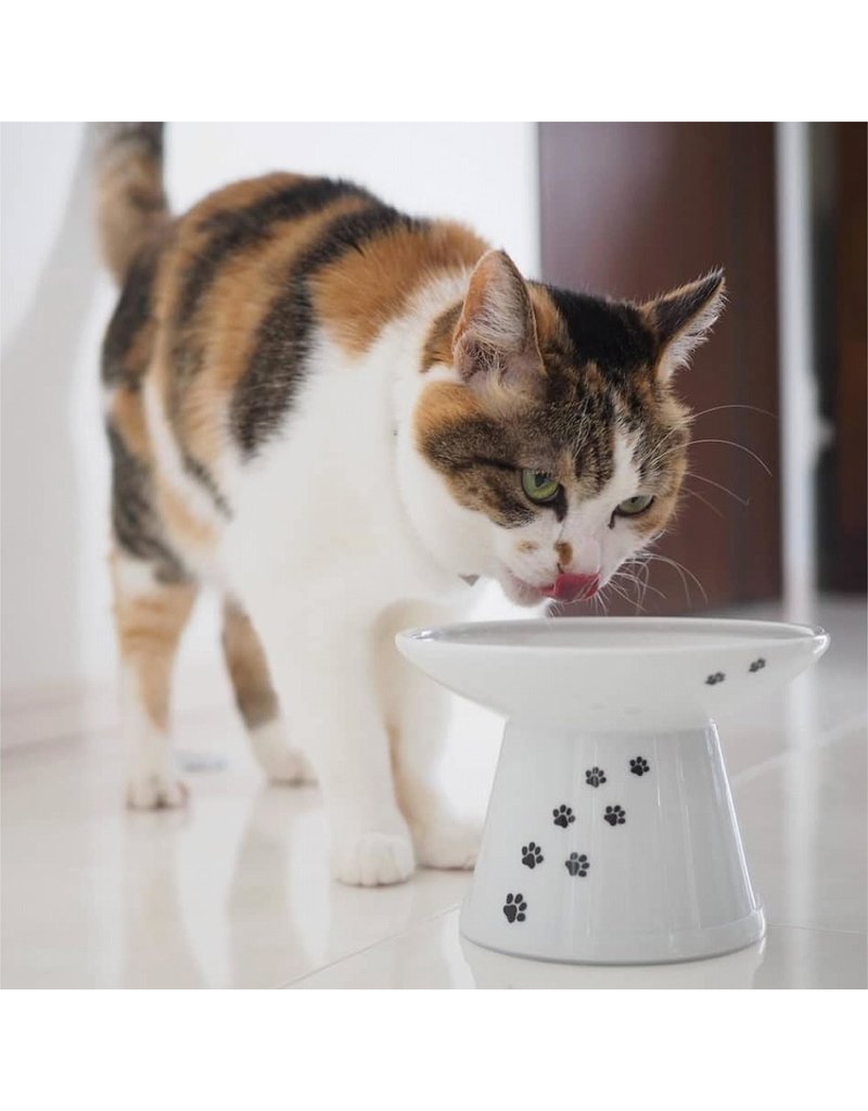 Necoichi Necoichi Cat Dish | Extra Wide Raised Bowl Paw Prints