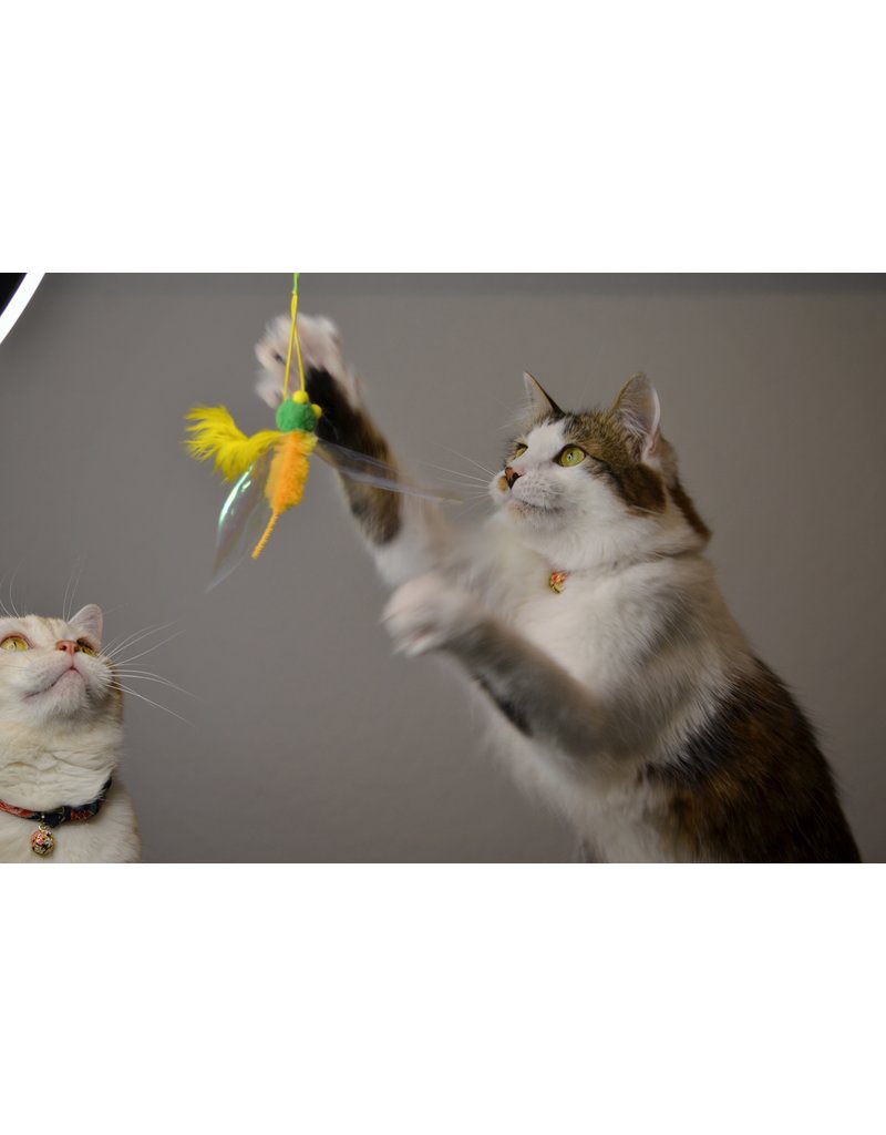 Necoichi Necoichi Cat Toys | Crinkly Critters Bouncy Bee