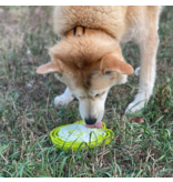 SodaPup SodaPup Enrichment Tray | Water Frog Green