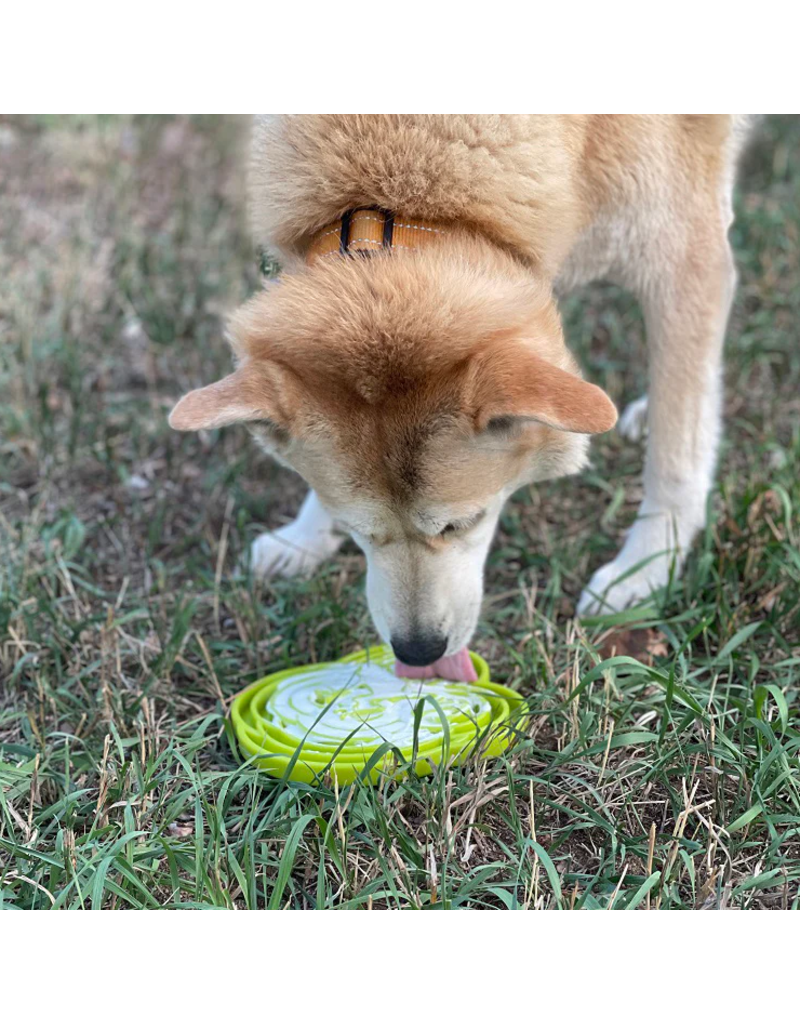 SodaPup SodaPup Enrichment Tray | Water Frog Green