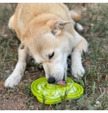 SodaPup SodaPup Enrichment Tray | Water Frog Green