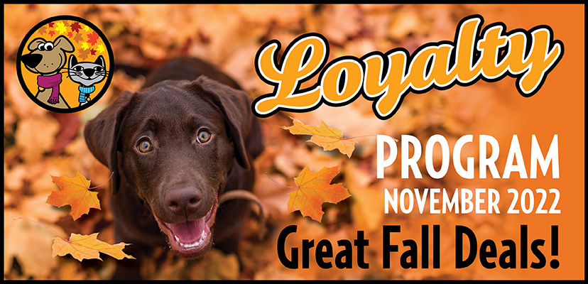 Check Out Our Furtastic November Deals!