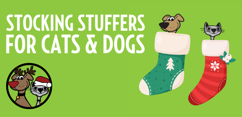 The Best Stocking Stuffers For Cats & Dogs 
