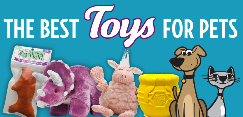 The Best Toys For Your Dog or Cat