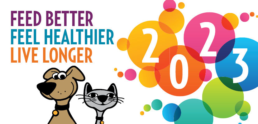 7 New Year’s Resolutions For Your Dog Or Cat