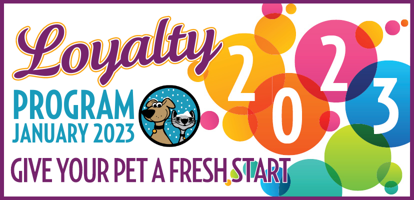 Give Your Pet A Fresh Start With Our January Savings!