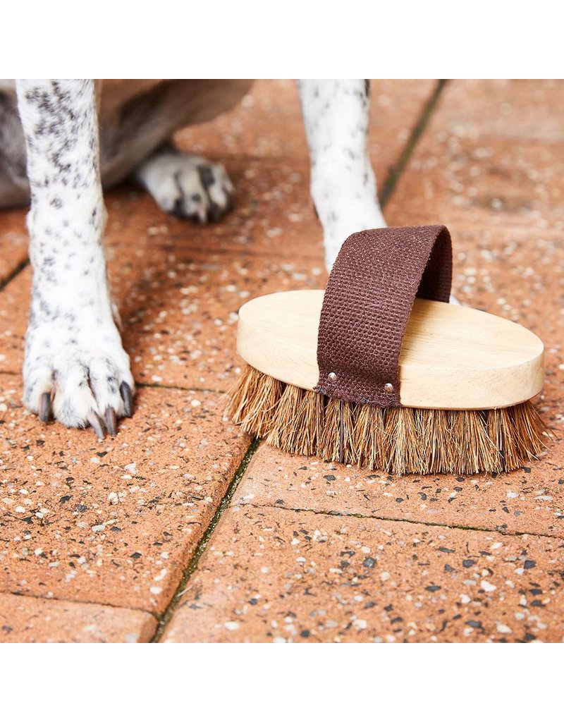 Ethical Global EcoMax Eco Max | Pet Grooming Brush Dog