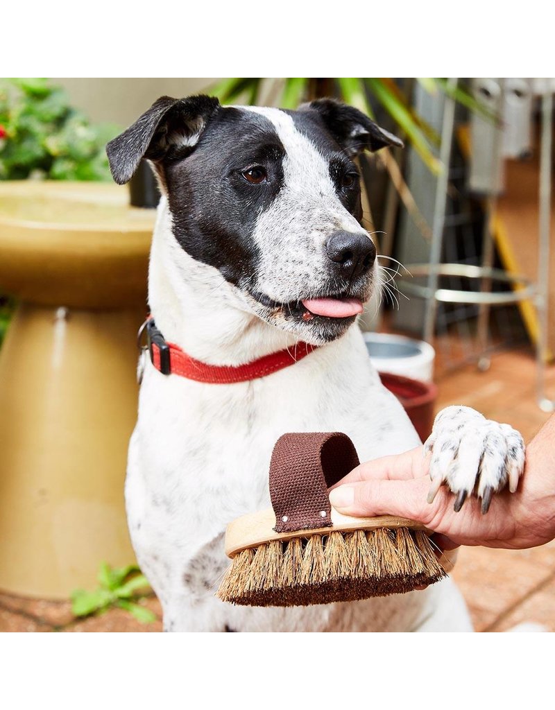 Dog Soft Slicker Brush Dog Brushes Dog Grooming Supplies Pet Grooming - The  Pet Beastro