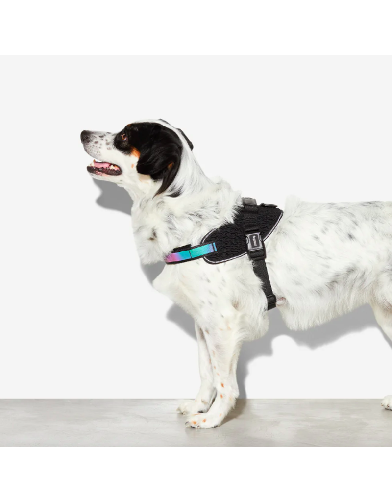 Zee.Dog Z Zee Dog FlyHarness | Gotham Size 4