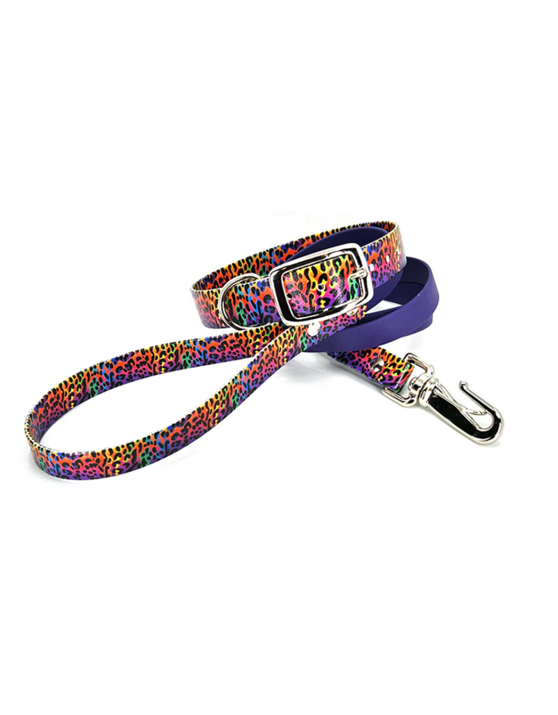 Wilderpup DesertDog Dog No-Stink Waterproof Leash | 6' Rainbow Leopard 3/4"