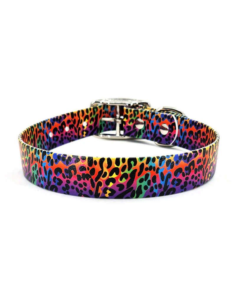 Wilderpup Wilderpup Dog No-Stink Waterproof Collar | Rainbow Leopard 1" x 15-18"