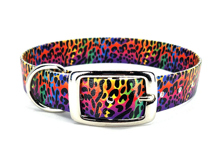 No stink top dog collar