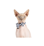 Little Kitty Co. Little Kitty Co. Collar & Bowtie | Wild Paws Small