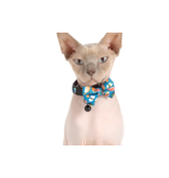 Little Kitty Co. Little Kitty Co. Collar & Bowtie | Sushi Makes Miso Happy Small