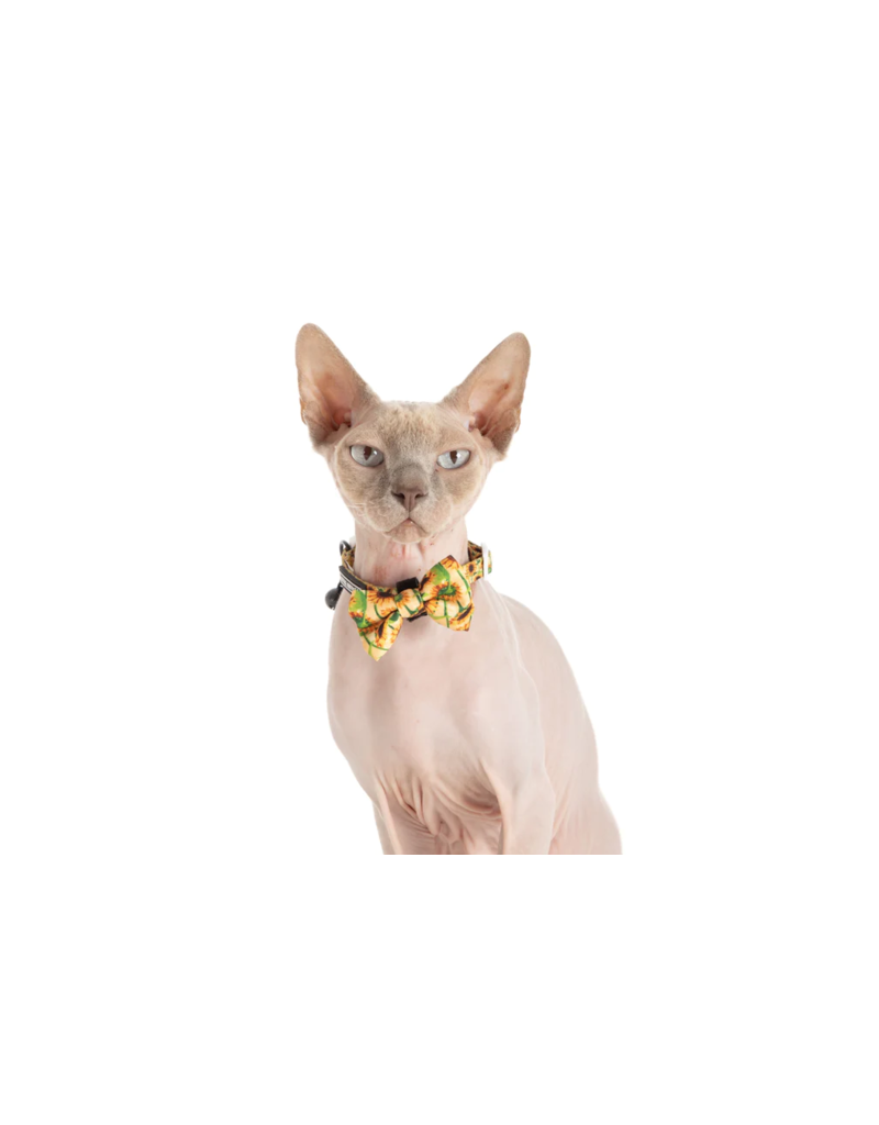 Little Kitty Co. Little Kitty Co. Collar & Bowtie | Sunny Vibes Small